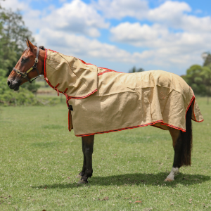 Jute Rug