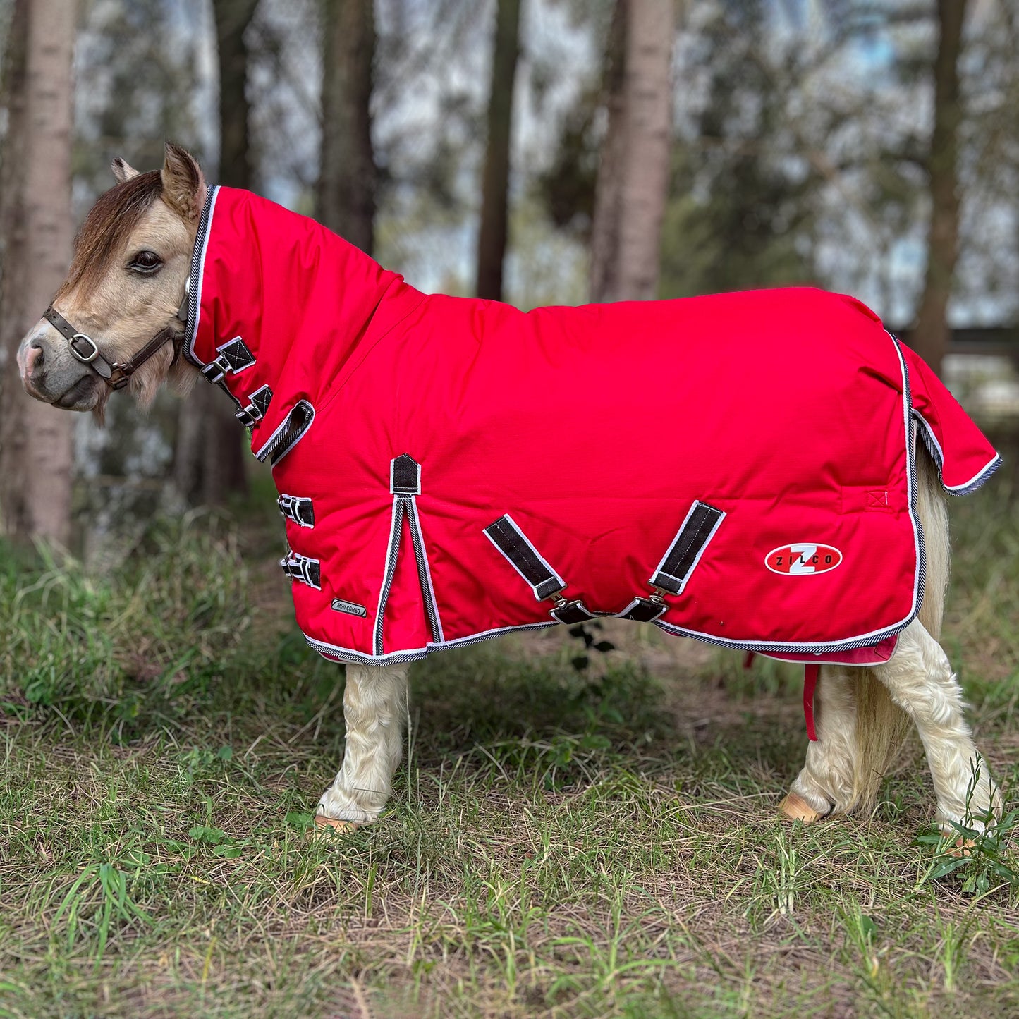 Mighty Mini Winter Combo