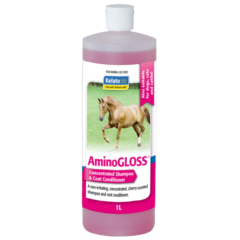 AminoGLOSS