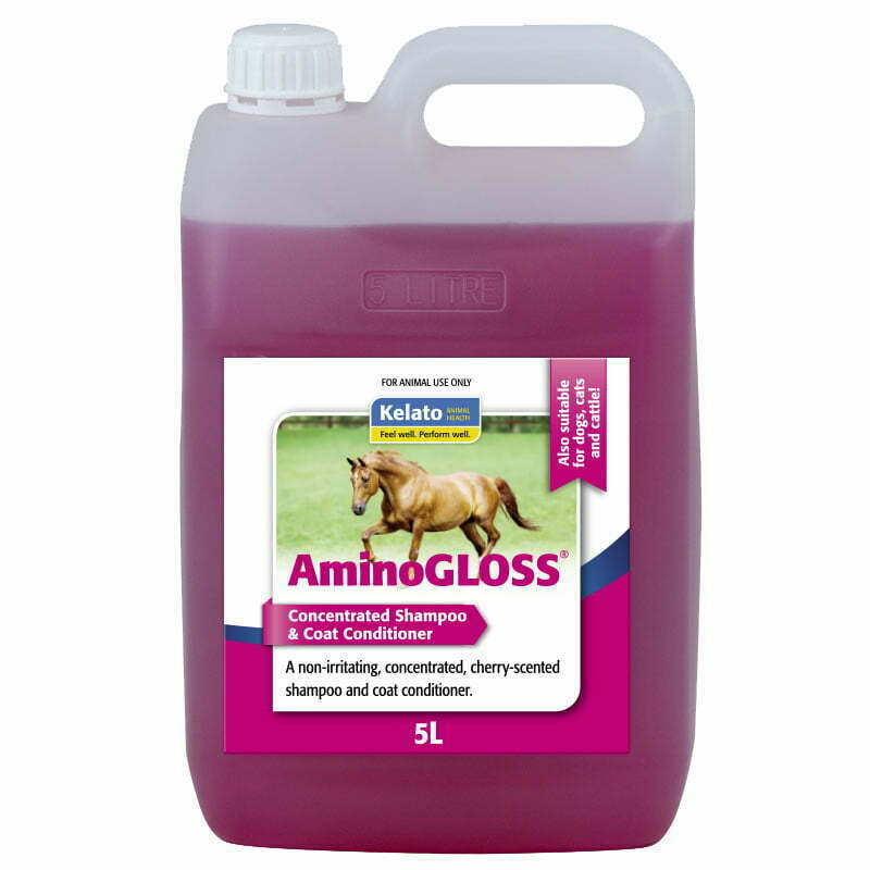 AminoGLOSS
