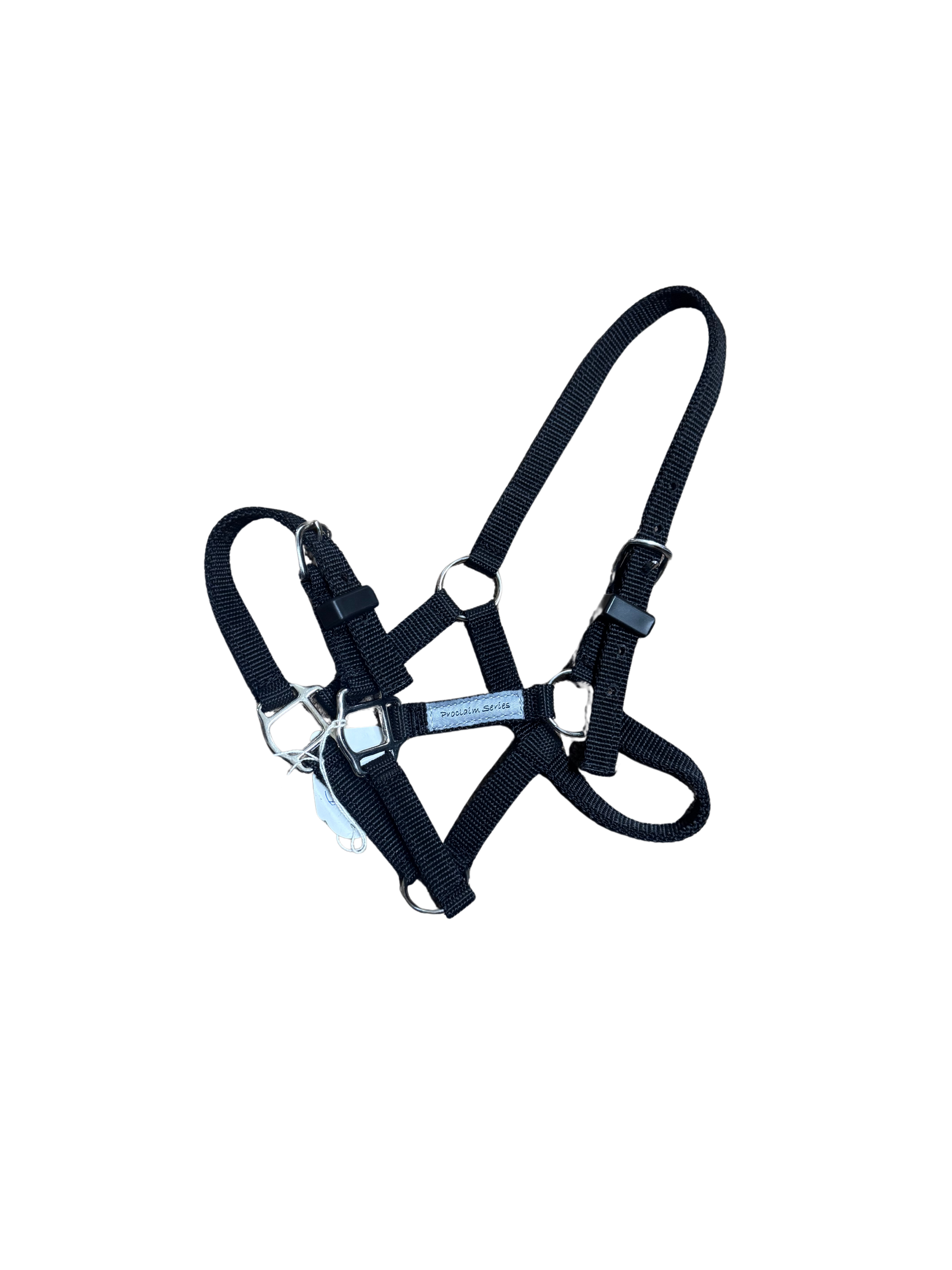 Proclaim Foal Halter – Durable Webbing Halter for Foals