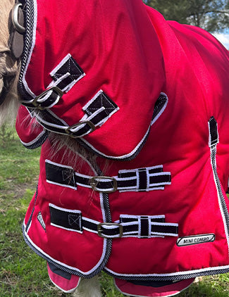 Mighty Mini Winter Combo