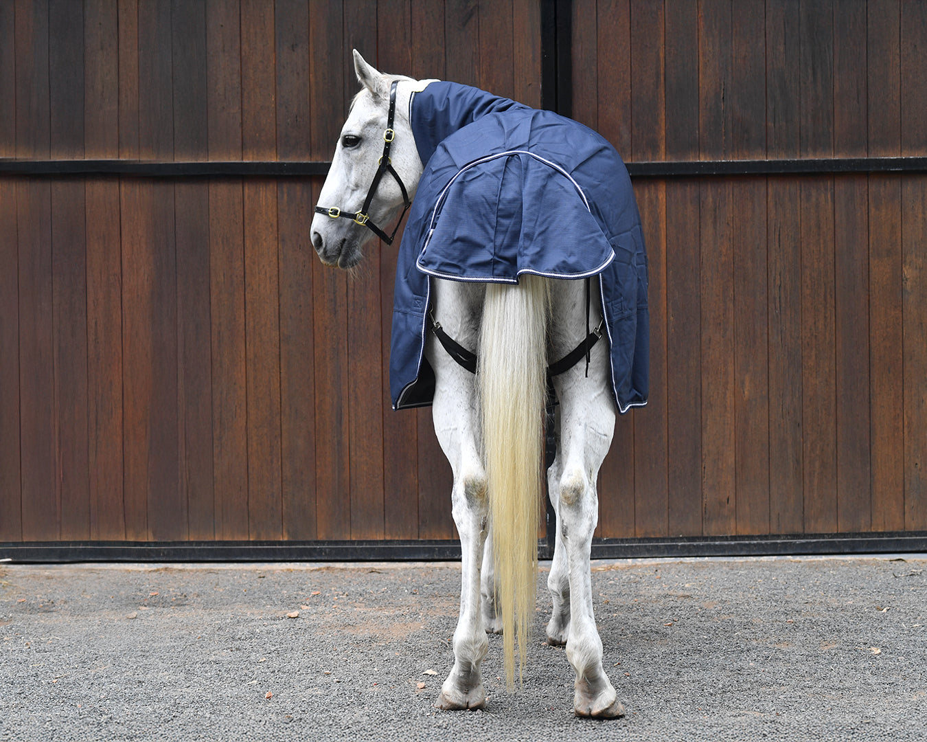 Kozy 1200D Ripstop Combo - Navy