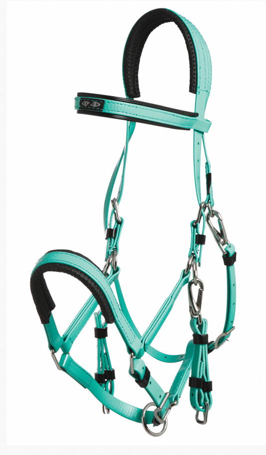 Marathon Bridle - Turquoise