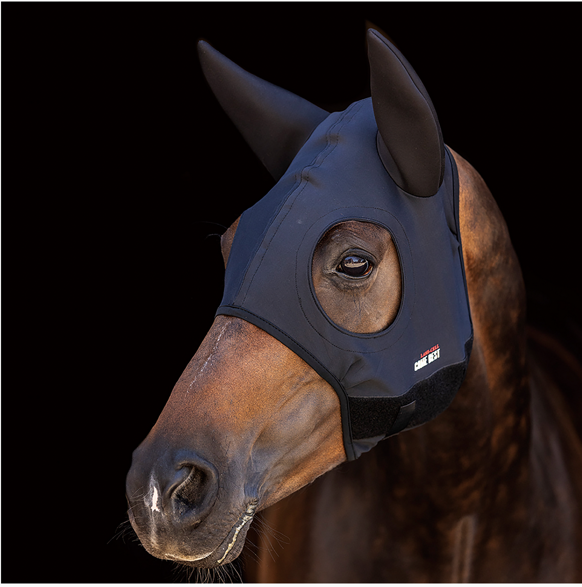 Lami-Cell Titanium Hood with Ears