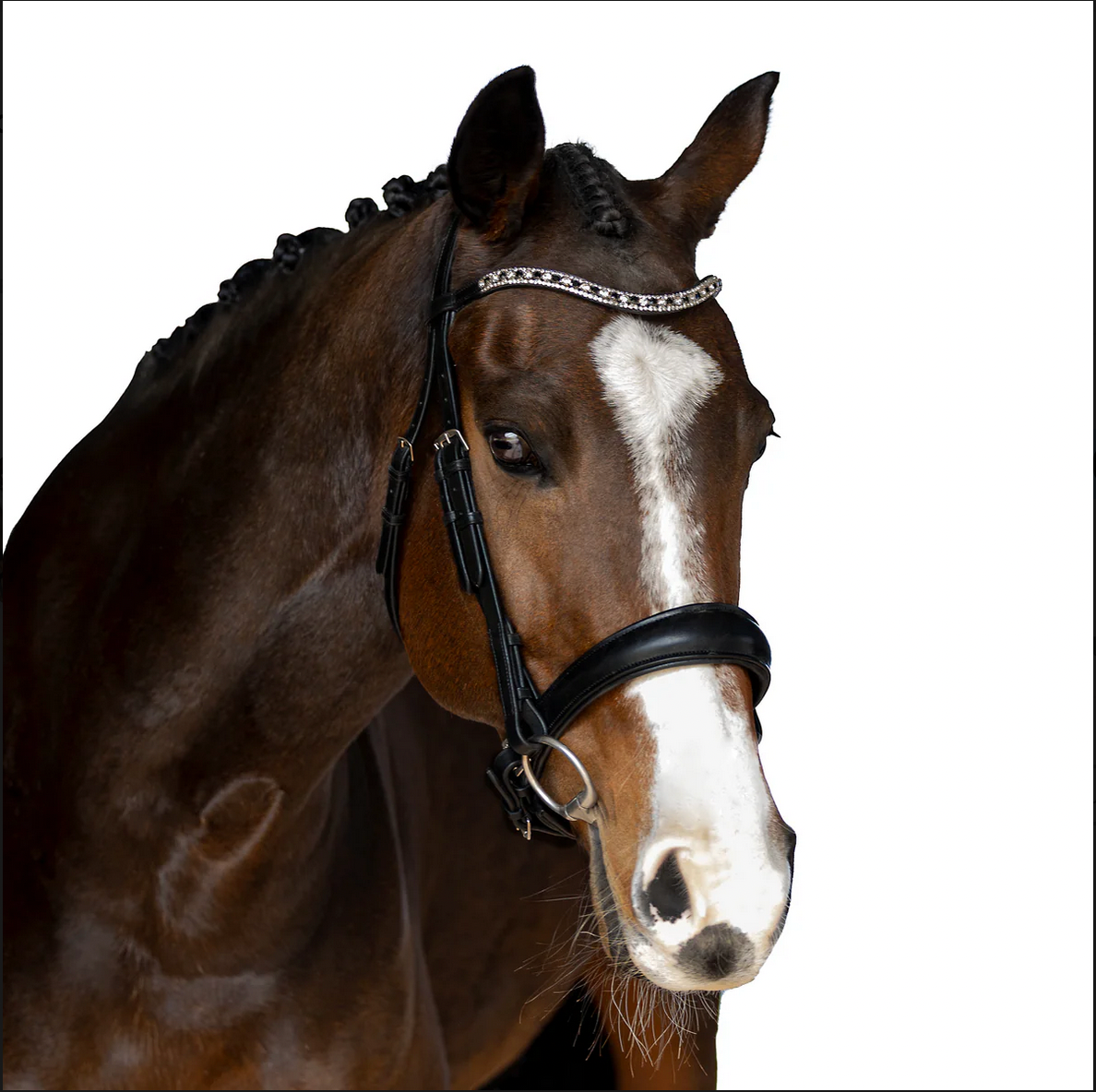 Premium Black Snaffle Bridle 'Cadence'
