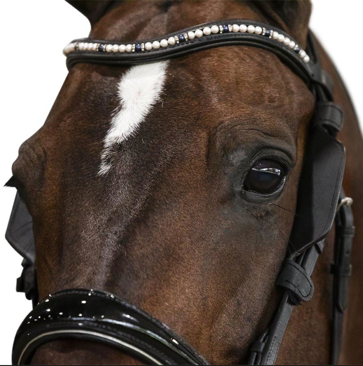 Blinkers