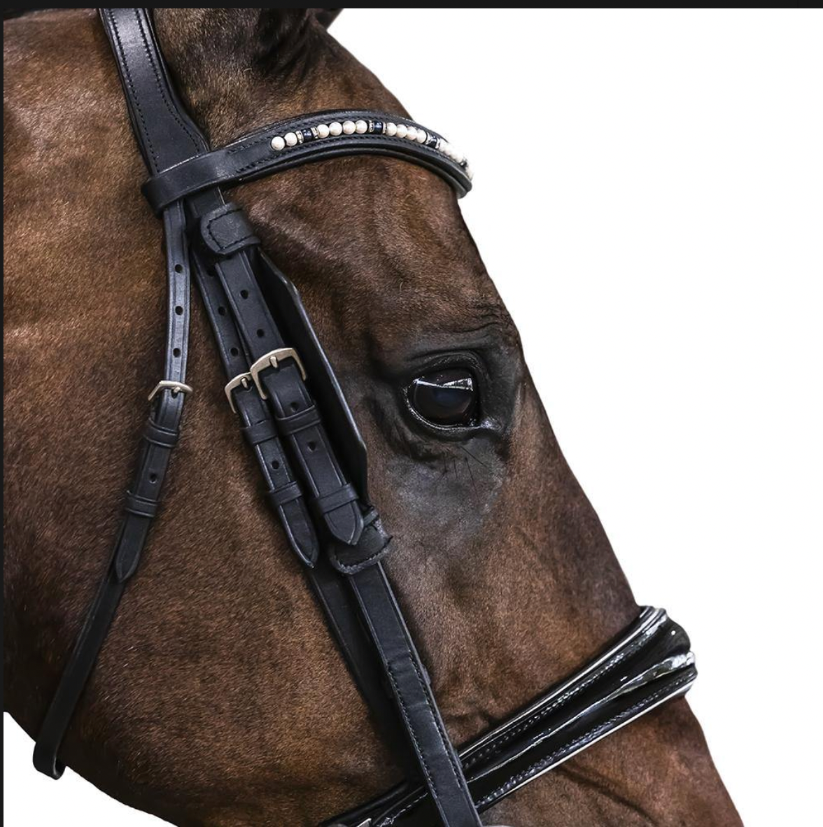 Blinkers