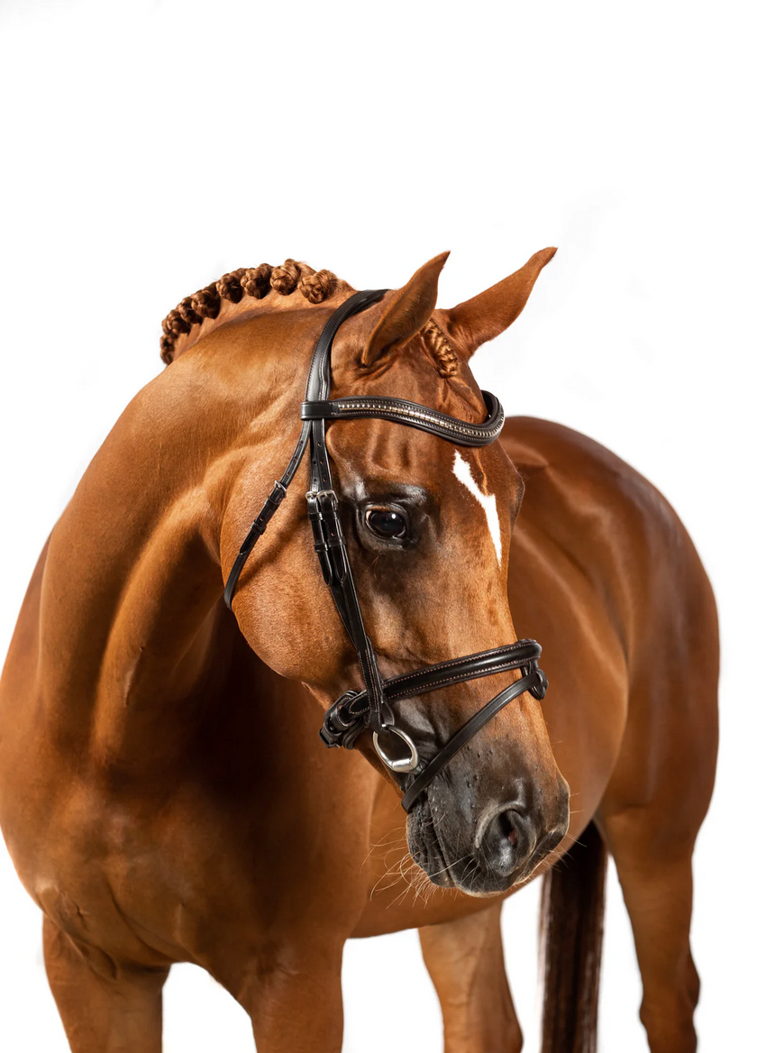 Clincher Wave Snaffle Bridle - BLACK FULL