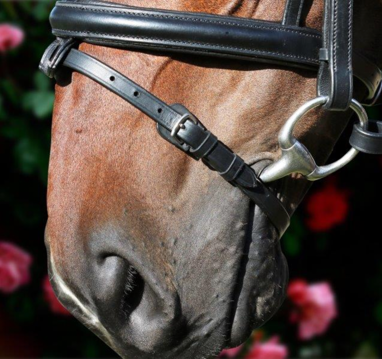 Clincher Wave Snaffle Bridle - BLACK FULL