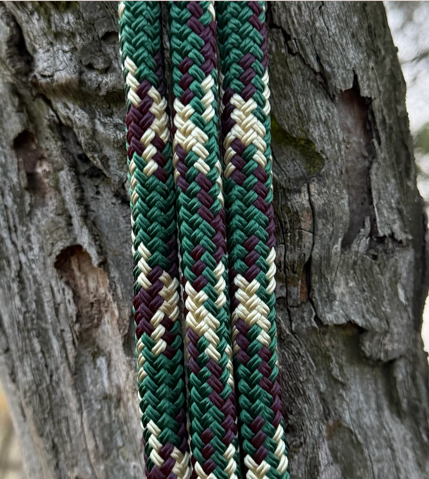 Gum Tree Cob size halter and 12ft lead set