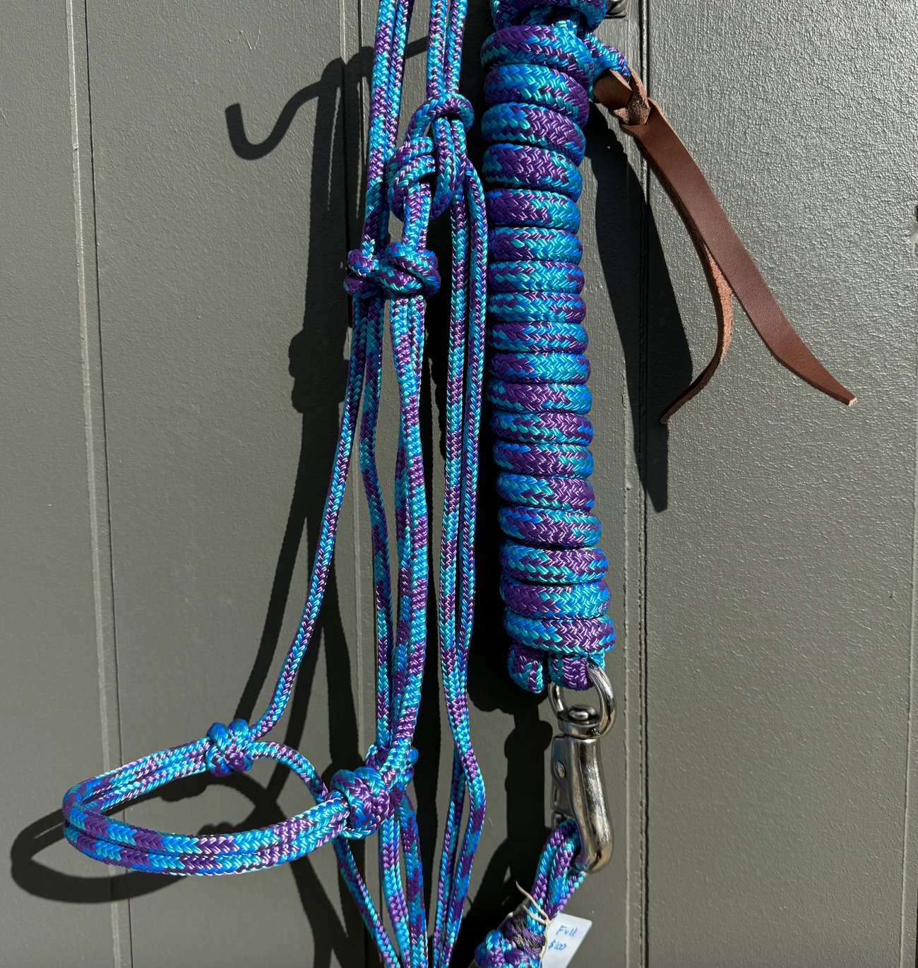 Mirage COB size halter and 12ft lead set