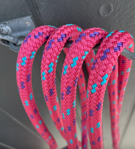 Fairy Floss Pony Halter and Lead Set
