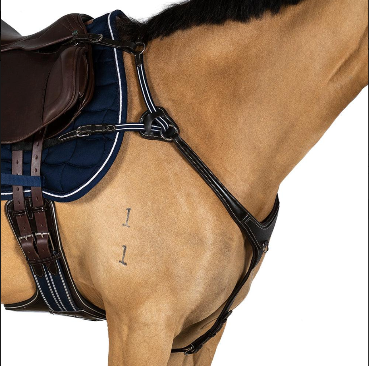 AR 5 Point Leather Breastplates - Black