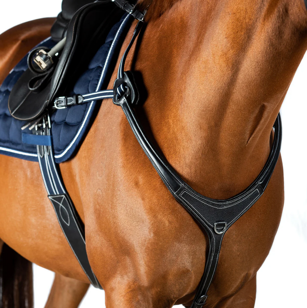 AR 5 Point Leather Breastplates - Black