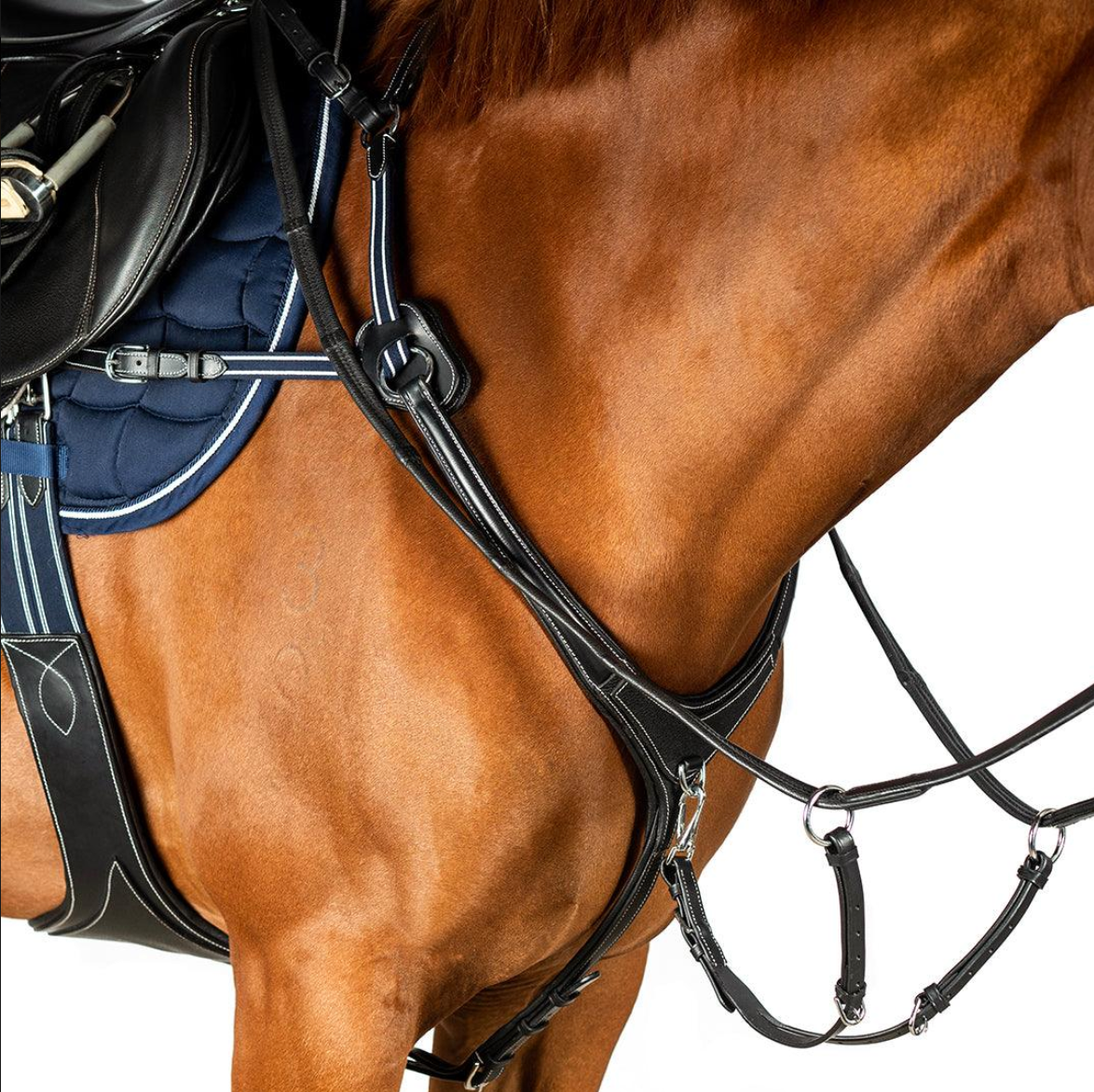 AR 5 Point Leather Breastplates - Black