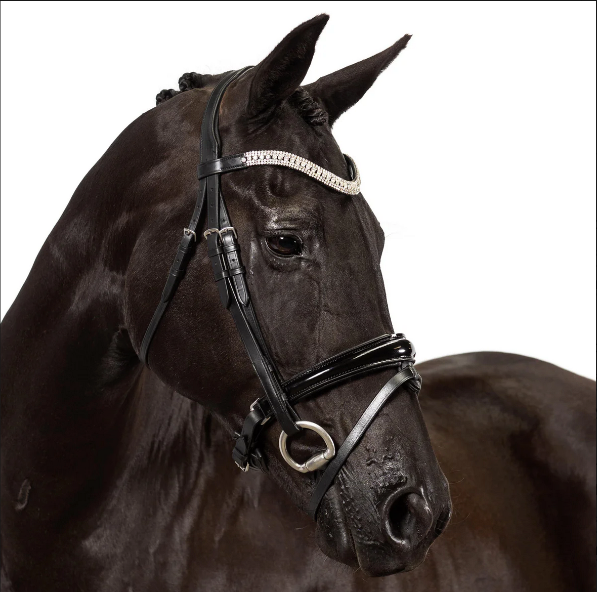 Premium Black Snaffle Bridle 'Explorer'