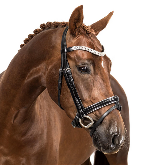 Premium Black Snaffle Bridle 'Elegance'