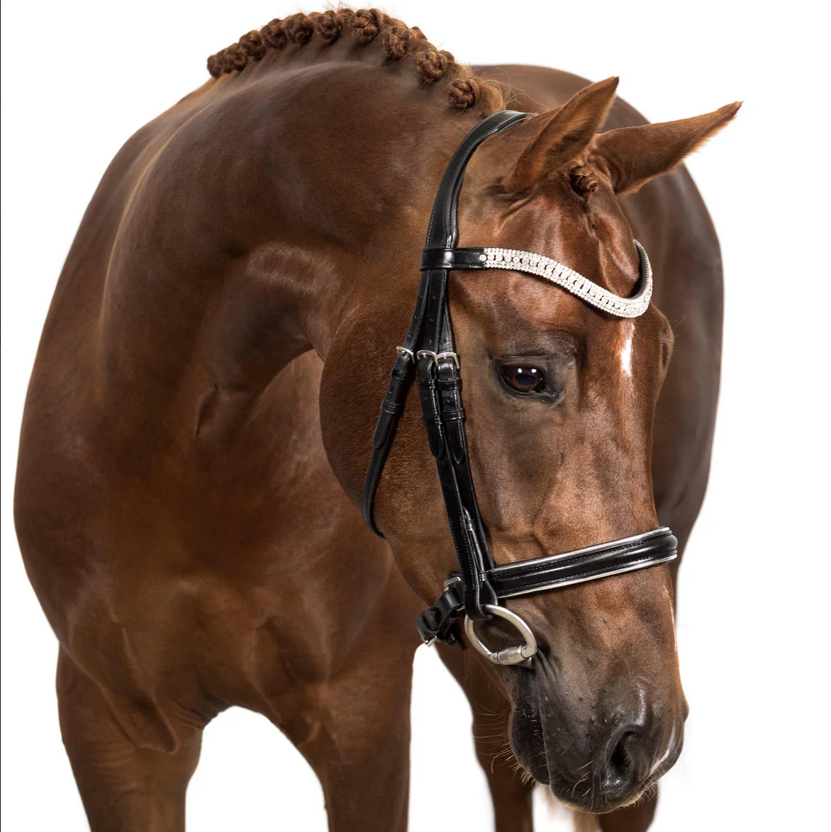Premium Black Snaffle Bridle 'Elegance'