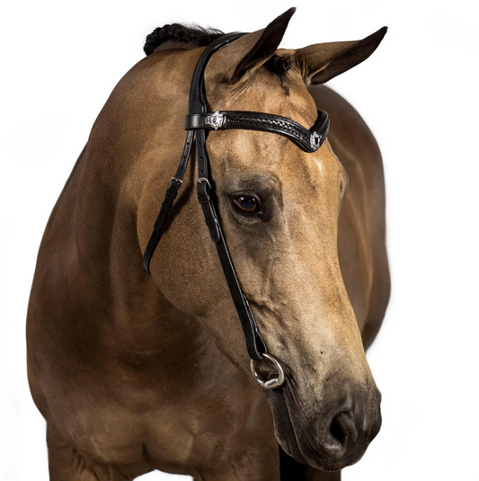 Black Nosebandless Bridle 'Bliss'