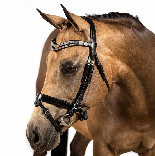 Black Snaffle Bridle 'Gossamer'
