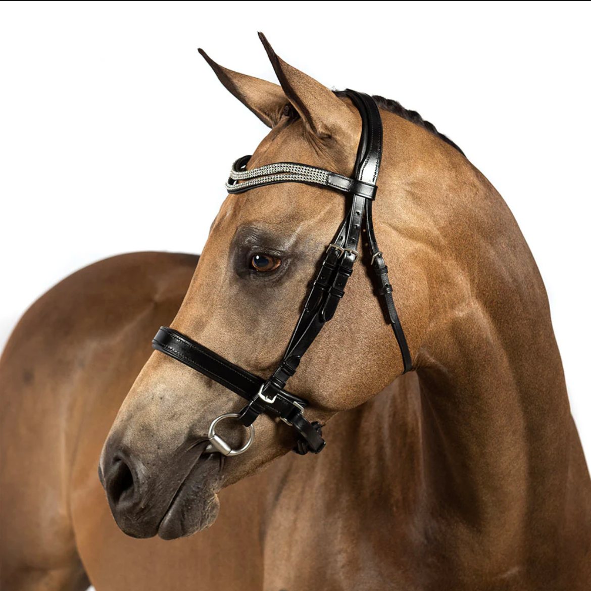 Black Snaffle Bridle 'Gossamer'
