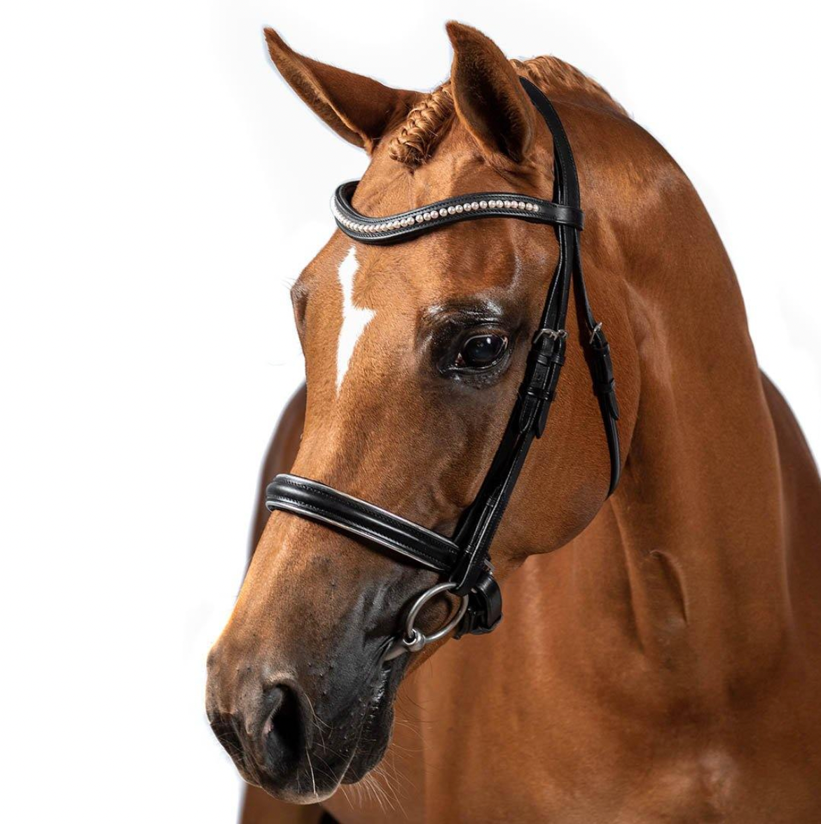 Premium Black Snaffle Bridle 'Symphony'