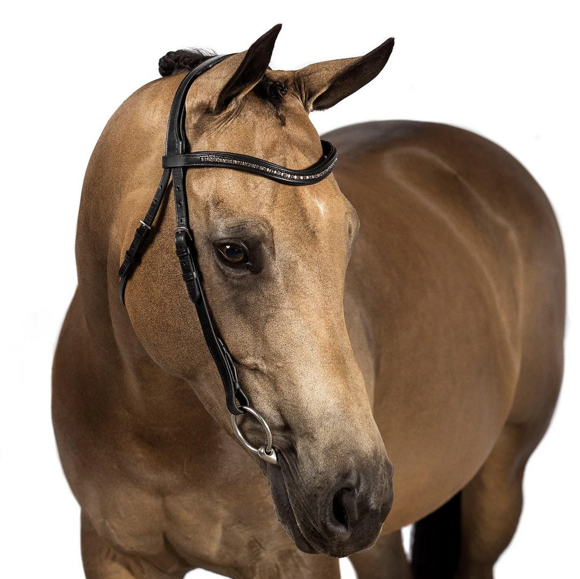 Black Nosebandless Bridle 'Silhouette'