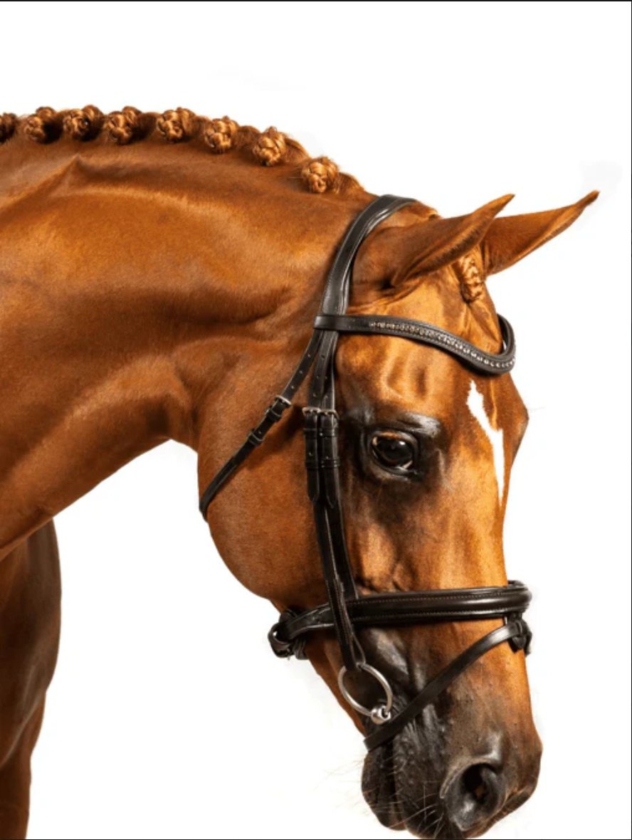 Premium Havana Snaffle Bridle 'Allure'
