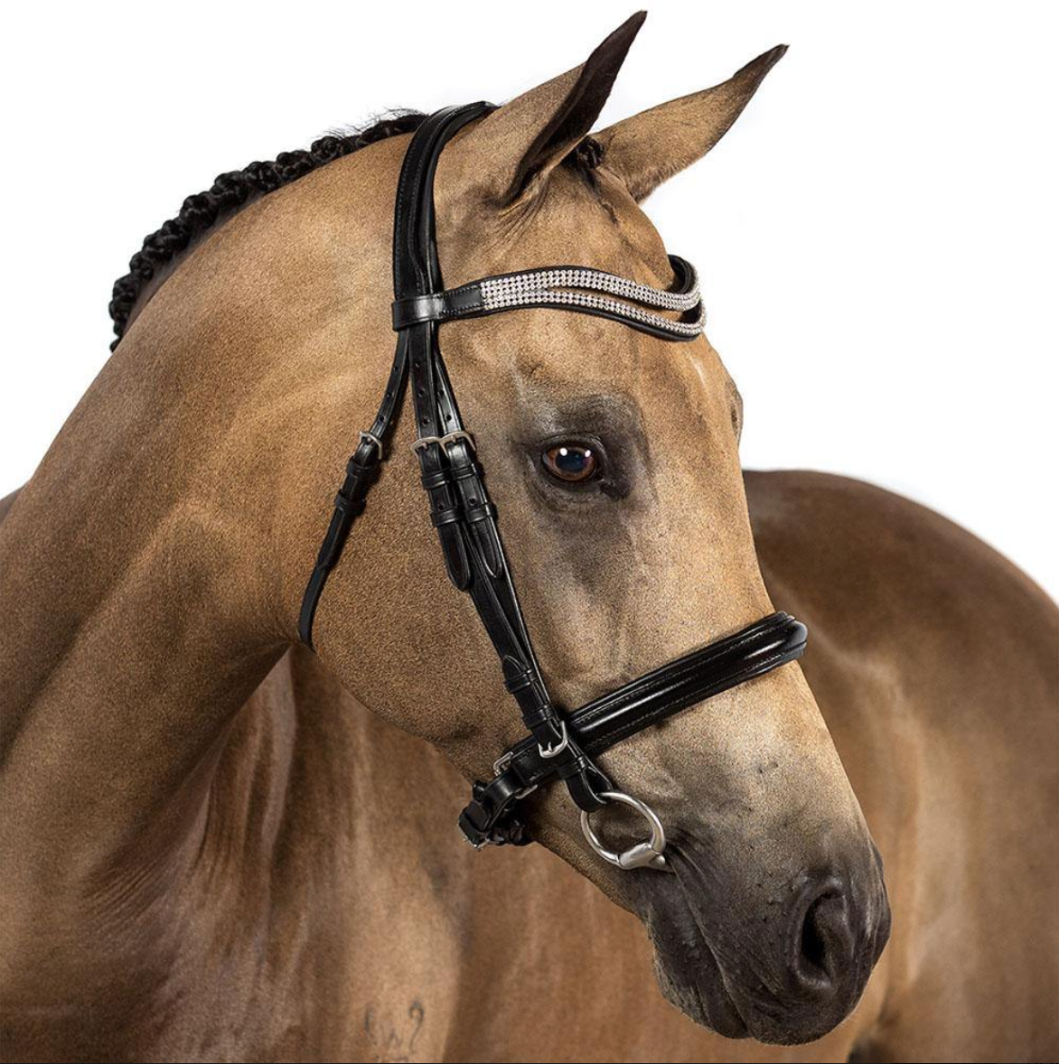 Black Snaffle Bridle 'Jubilant'