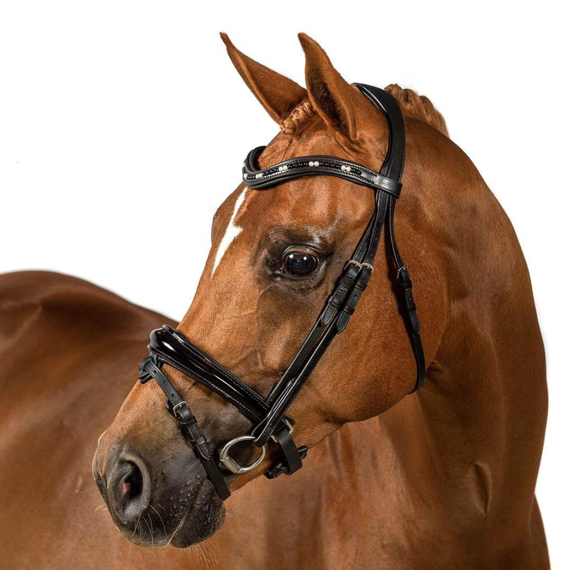 Premium Black Snaffle Bridle 'Astral'