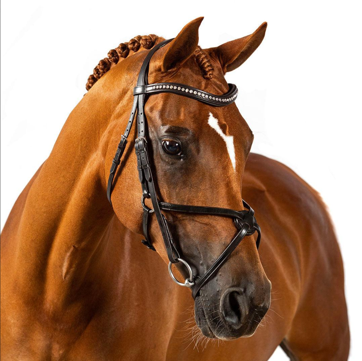 Premium Black Snaffle Bridle 'Radiance'