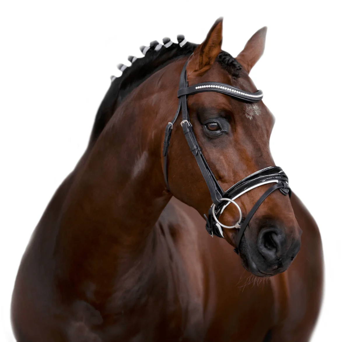 Premium Black Snaffle Bridle 'Ovation'