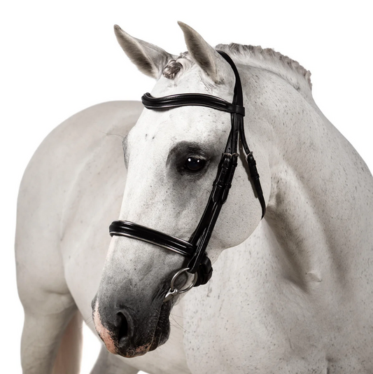 Premium Black Snaffle Bridle 'Senna'