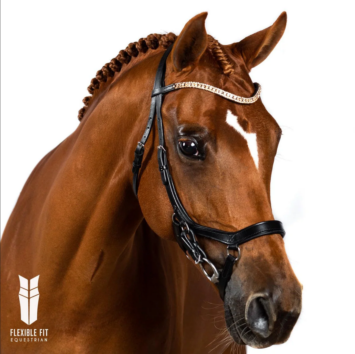 Premium Black Comfort Bridle 'Alleviation'