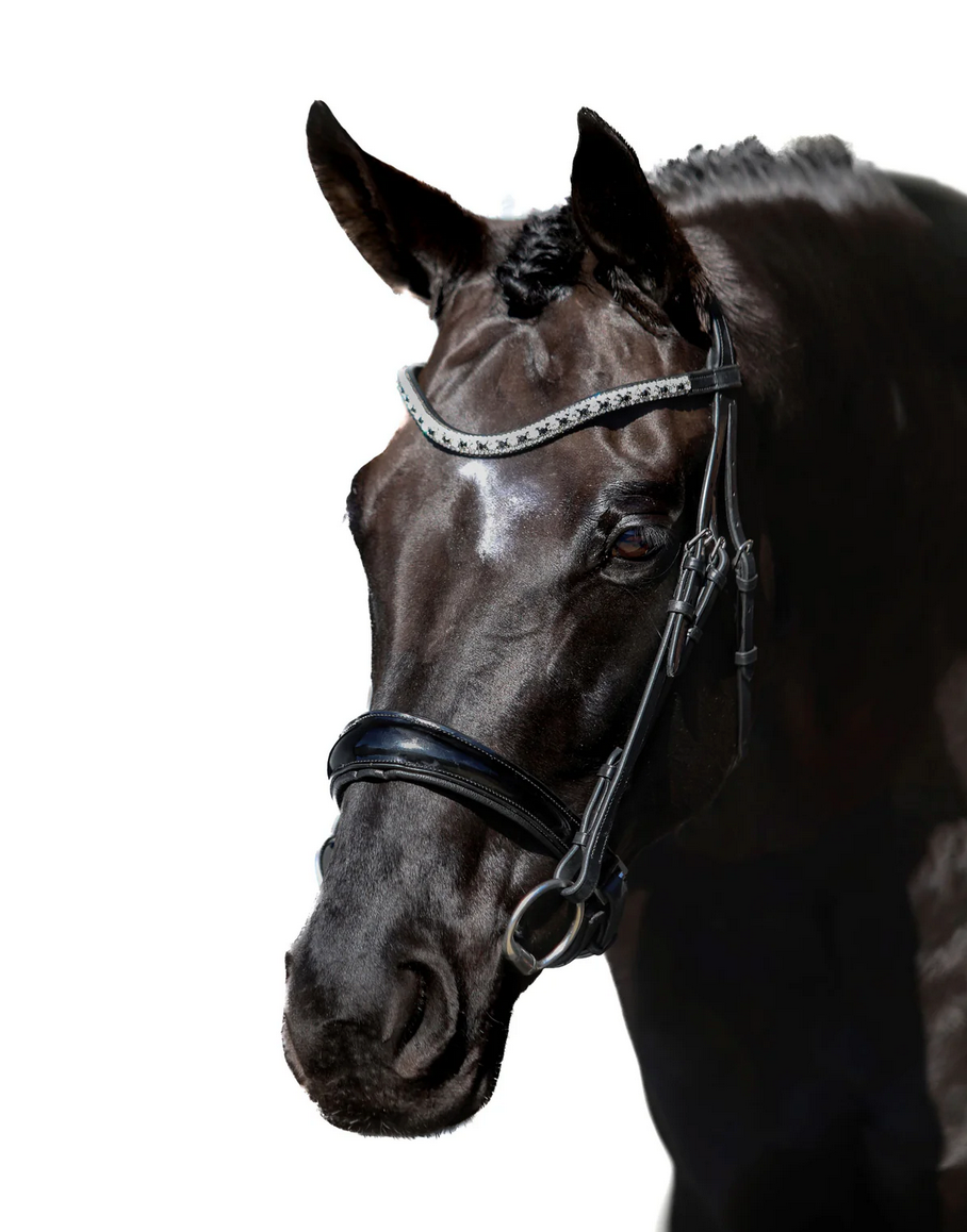 Premium Black Snaffle Bridle 'Eternity'