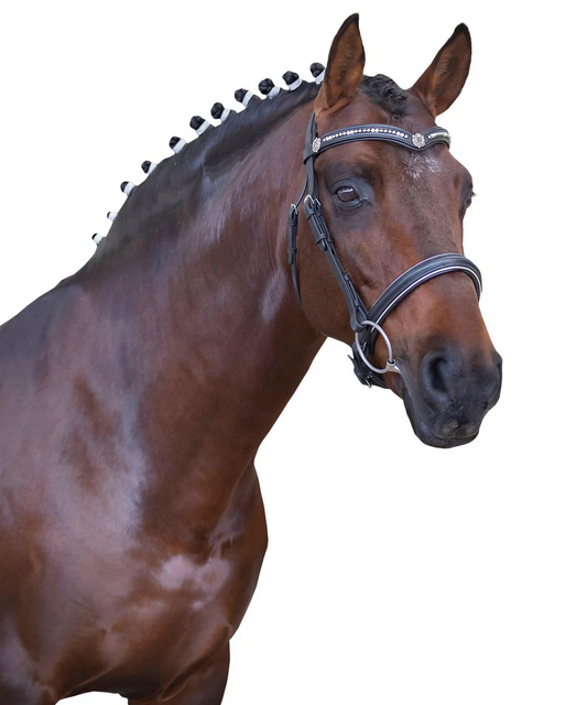 Premium Black Snaffle Bridle 'Aries'