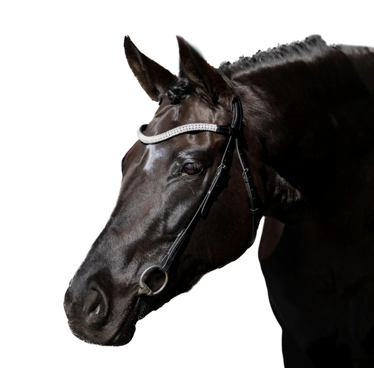 Black Nosebandless Bridle 'Dolce'