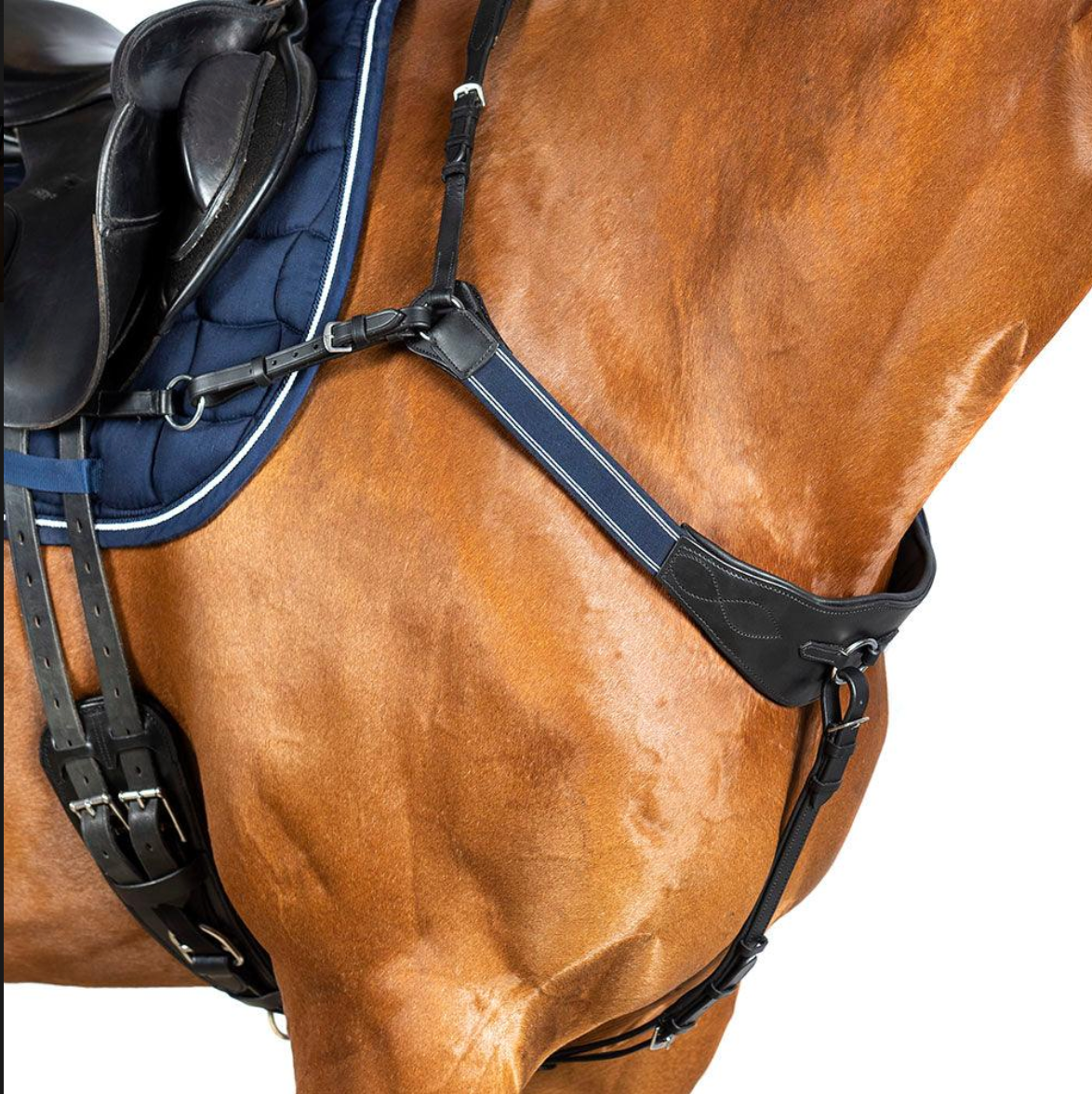 Modified Bridge Breastplates - Black