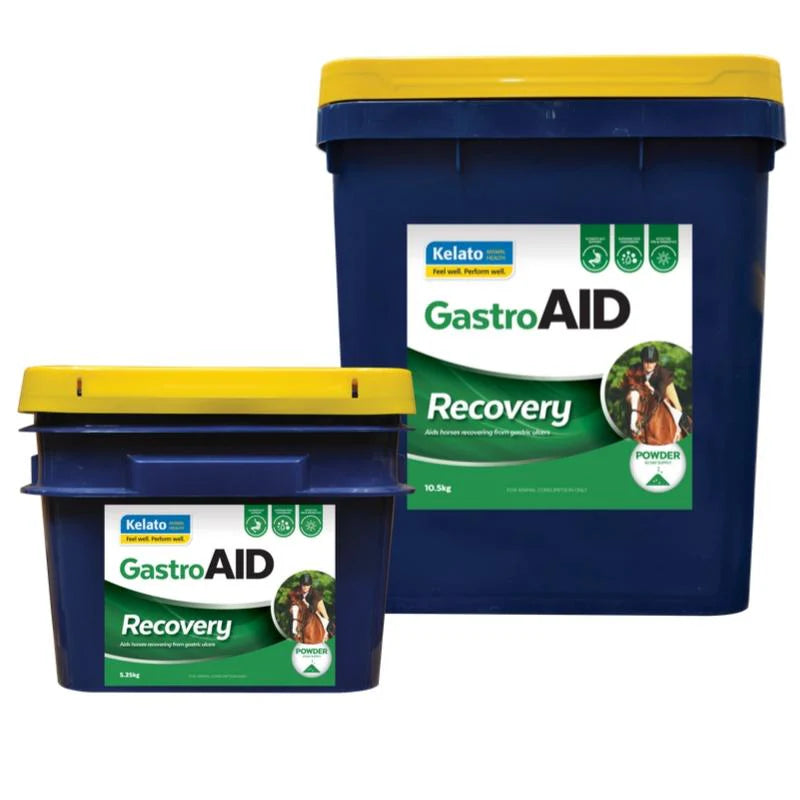 GastroAID Recovery