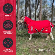 Mighty Mini Winter Combo