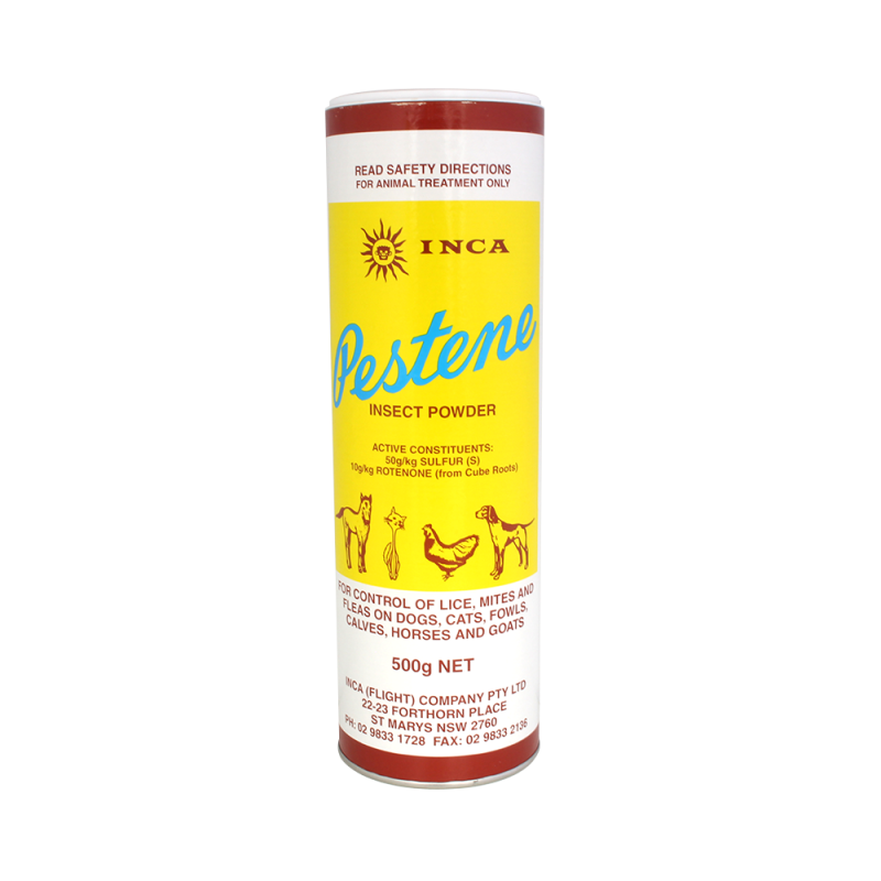 Inca Pestene Powder