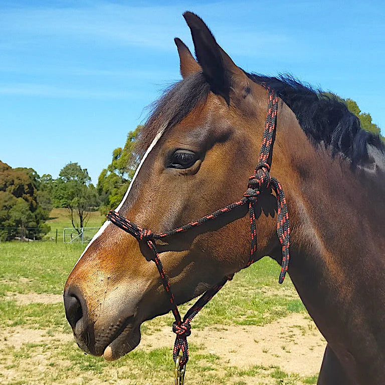 Nungar Knots FULL Headstall